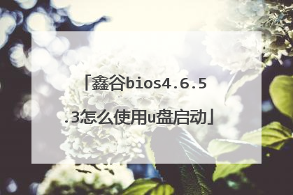 鑫谷bios4.6.5.3怎么使用u盘启动