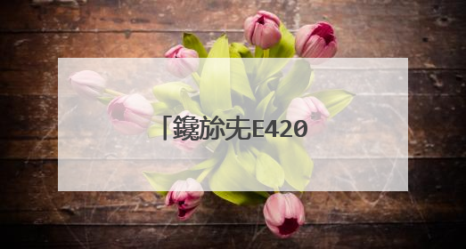 鑱旀兂E420閲嶈�呯郴缁熷紩瀵兼�庝箞鍋�