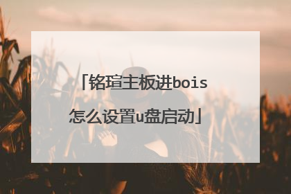 铭瑄主板进bois怎么设置u盘启动
