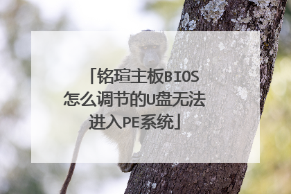 铭瑄主板BIOS怎么调节的U盘无法进入PE系统