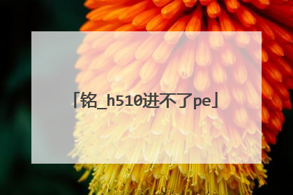 铭_h510进不了pe