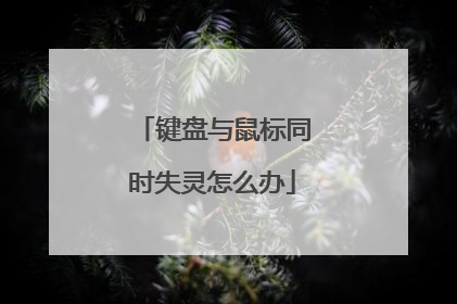 键盘与鼠标同时失灵怎么办