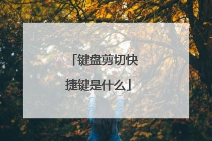 键盘剪切快捷键是什么