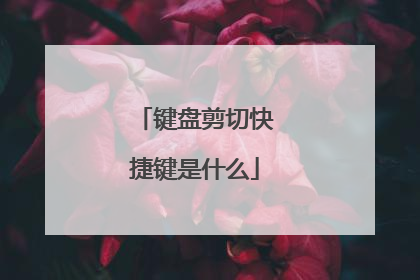 键盘剪切快捷键是什么