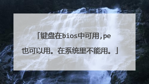 键盘在bios中可用,pe也可以用。在系统里不能用。