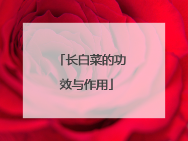 长白菜的功效与作用