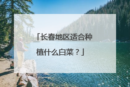 长春地区适合种植什么白菜？