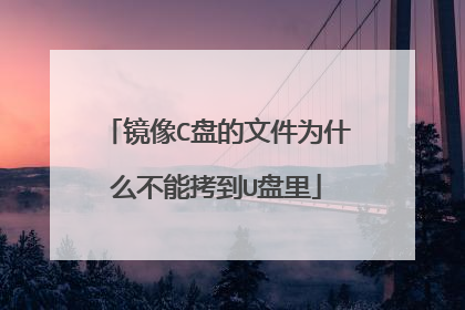 镜像C盘的文件为什么不能拷到U盘里