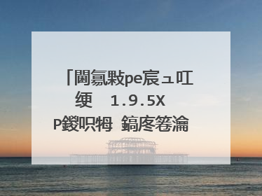 閫氱敤pe宸ュ叿绠� 1.9.5XP鍐呮牳 鎬庝箞瀹夎�匵P绯荤粺