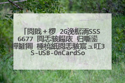閲戝+椤�2G浼樼洏SSS6677 閲忎骇鍚庡�归噺鍙樺皬闂�棰橈紙閲忎骇宸ュ叿3S-USB-OnCardSorting-V3.028-UltraNet锛�