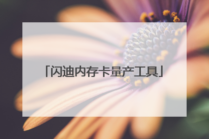 闪迪内存卡量产工具