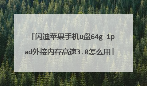 闪迪苹果手机u盘64g ipad外接内存高速3.0怎么用