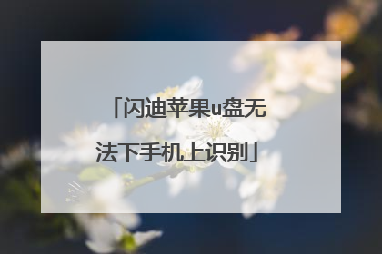 闪迪苹果u盘无法下手机上识别