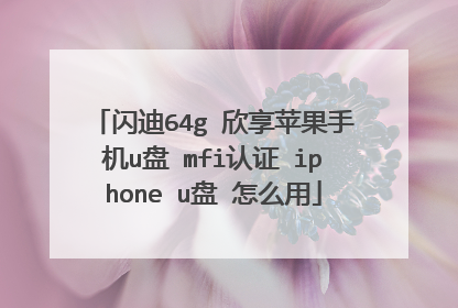 闪迪64g 欣享苹果手机u盘 mfi认证 iphone u盘 怎么用