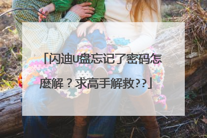 闪迪U盘忘记了密码怎麽解?求高手解救??