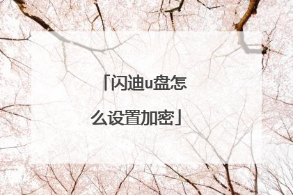 闪迪u盘怎么设置加密