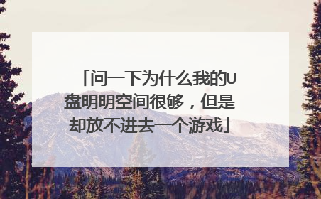 问一下为什么我的U盘明明空间很够,但是却放不进去一个游戏