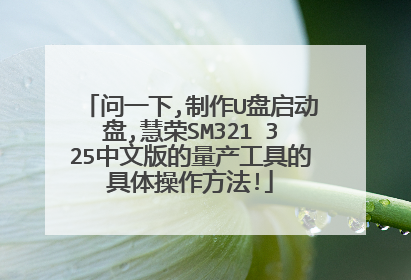 问一下,制作U盘启动盘,慧荣SM321 325中文版的量产工具的具体操作方法!