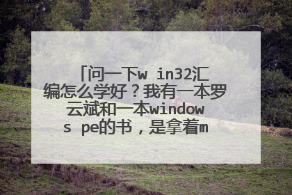问一下w in32汇编怎么学好?我有一本罗云斌和一本windows pe的书,是拿着msdn和书一