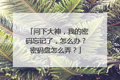 问下大神,我的密码忘记了,怎么办?密码盘怎么弄?