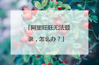 阿里旺旺无法登录,怎么办?