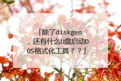 除了diskgen,还有什么U盘启动DOS格式化工具??