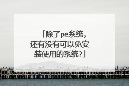 除了pe糸统,还有没有可以免安装使用的系统?