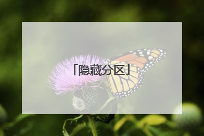 隐藏分区