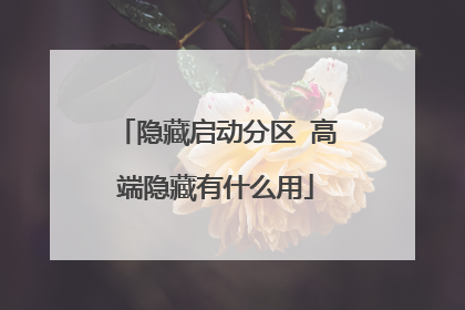 隐藏启动分区 高端隐藏有什么用