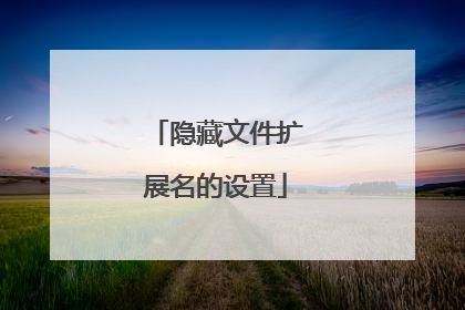 隐藏文件扩展名的设置