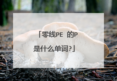 零线PE 的P是什么单词?