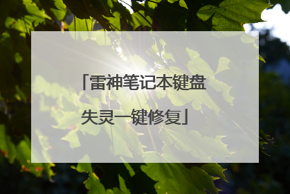 雷神笔记本键盘失灵一键修复
