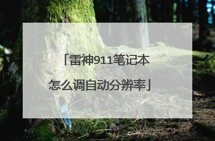 雷神911笔记本怎么调自动分辨率