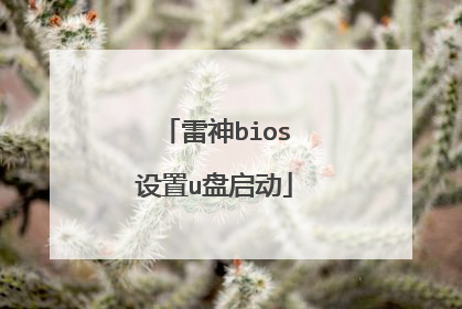 雷神bios设置u盘启动