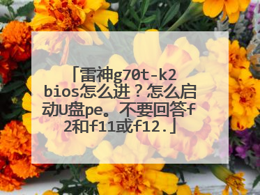 雷神g70t-k2 bios怎么进?怎么启动U盘pe。不要回答f2和f11或f12.