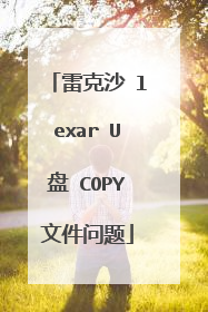 雷克沙 lexar U盘 COPY文件问题