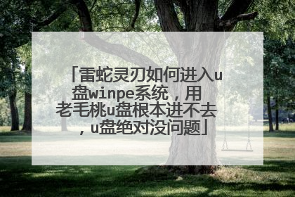 雷蛇灵刃如何进入u盘winpe系统，用老毛桃u盘根本进不去，u盘绝对没问题