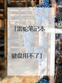 雷蛇笔记本键盘用不了