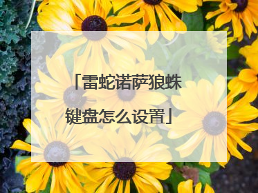 雷蛇诺萨狼蛛键盘怎么设置