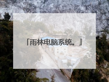 雨林电脑系统。
