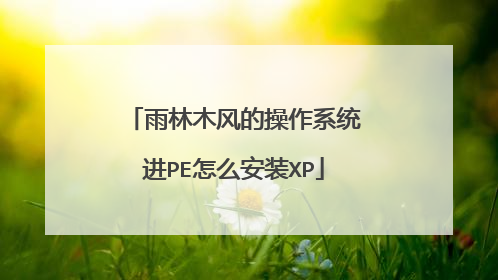 雨林木风的操作系统进PE怎么安装XP