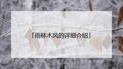 雨林木风的详细介绍