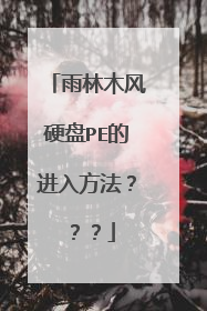 雨林木风硬盘PE的进入方法???