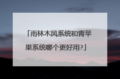 雨林木风系统和青苹果系统哪个更好用?