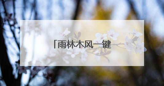 雨林木风一键恢复怎么用啊