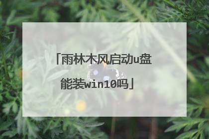雨林木风启动u盘能装win10吗