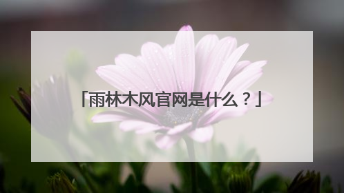 雨林木风官网是什么?