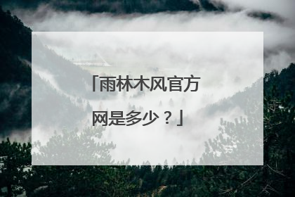 雨林木风官方网是多少?