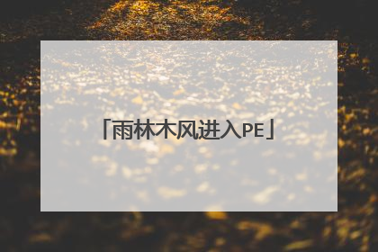 雨林木风进入PE