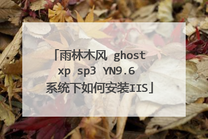 雨林木风 ghost xp sp3 YN9.6 系统下如何安装IIS